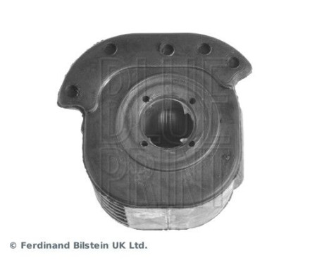 Control Arm-/Trailing Arm Bush ADC48087 Blue Print, Image 4