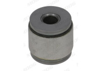 Control Arm-/Trailing Arm Bush AL-SB-5102 Moog
