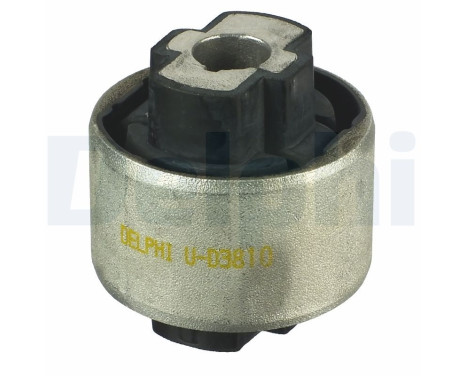 Control Arm-/Trailing Arm Bush TD1032W Delphi