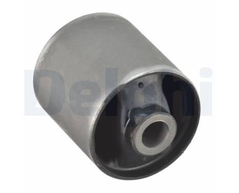 Control Arm-/Trailing Arm Bush TD1116W Delphi