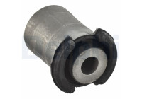 Control Arm-/Trailing Arm Bush TD1117W Delphi