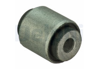 Control Arm-/Trailing Arm Bush TD1301W Delphi