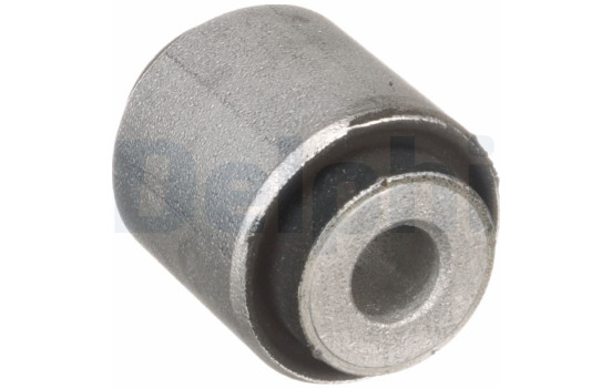 Control Arm-/Trailing Arm Bush TD1301W Delphi