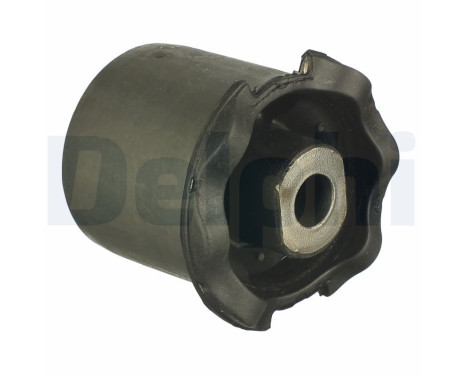 Control Arm-/Trailing Arm Bush TD1377W Delphi