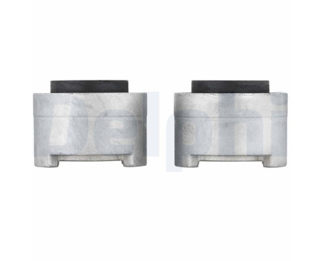 Control Arm-/Trailing Arm Bush TD1500W Delphi, Image 3