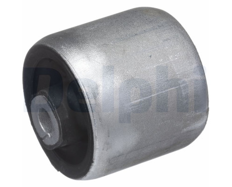 Control Arm-/Trailing Arm Bush TD1633W Delphi
