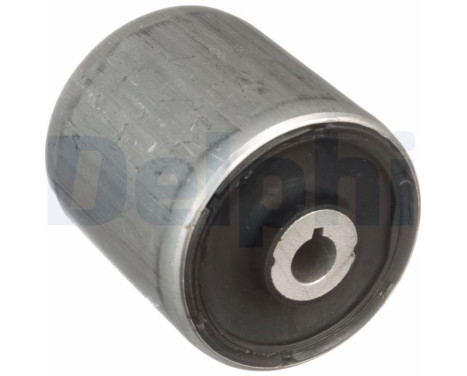 Control Arm-/Trailing Arm Bush TD1638W Delphi