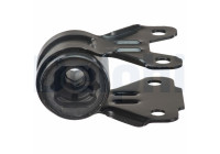 Control Arm-/Trailing Arm Bush TD1640W Delphi
