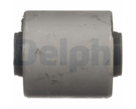 Control Arm-/Trailing Arm Bush TD1661W Delphi, Image 3
