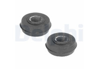 Control Arm-/Trailing Arm Bush TD166W Delphi