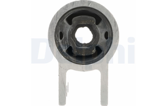 Control Arm-/Trailing Arm Bush TD1670W Delphi, Image 3