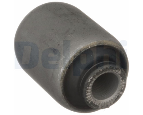 Control Arm-/Trailing Arm Bush TD1674W Delphi