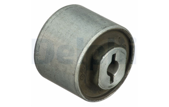 Control Arm-/Trailing Arm Bush TD1678W Delphi