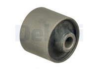 Control Arm-/Trailing Arm Bush TD1691W Delphi