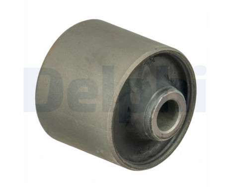 Control Arm-/Trailing Arm Bush TD1691W Delphi