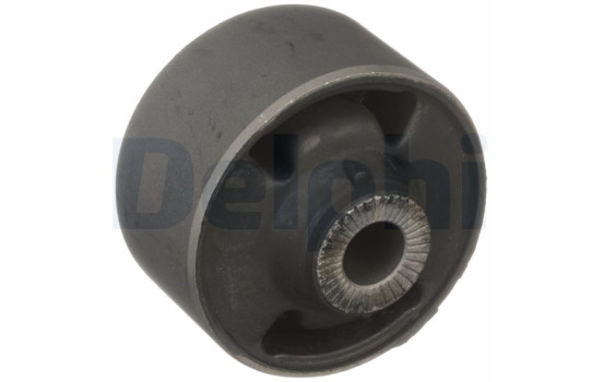 Control Arm-/Trailing Arm Bush TD1715W Delphi