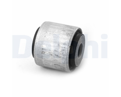 Control Arm-/Trailing Arm Bush TD1731W Delphi
