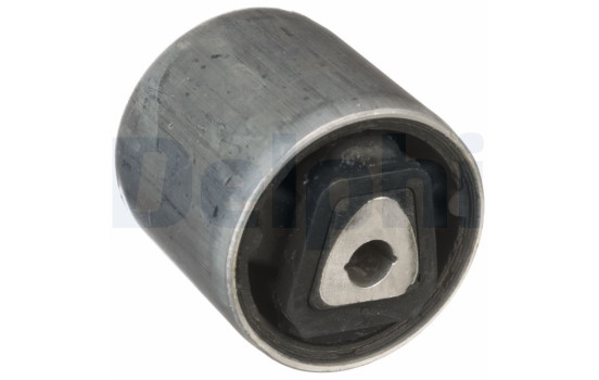 Control Arm-/Trailing Arm Bush TD1732W Delphi