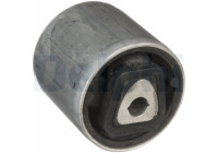Control Arm-/Trailing Arm Bush TD1732W Delphi