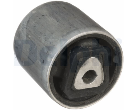 Control Arm-/Trailing Arm Bush TD1732W Delphi