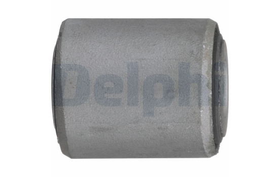 Control Arm-/Trailing Arm Bush TD1733W Delphi, Image 3