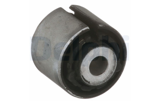 Control Arm-/Trailing Arm Bush TD1737W Delphi