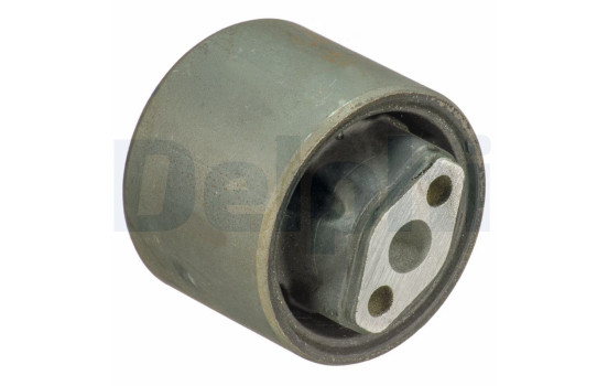 Control Arm-/Trailing Arm Bush TD1743W Delphi