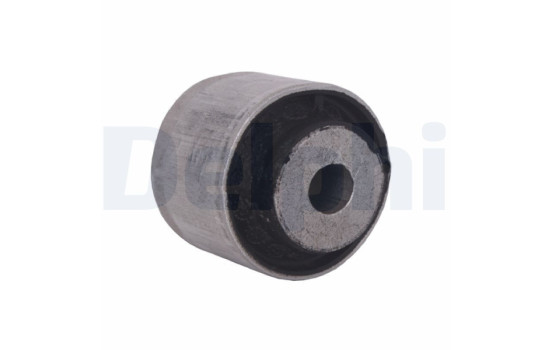 Control Arm-/Trailing Arm Bush TD1751W Delphi