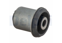 Control Arm-/Trailing Arm Bush TD1754W Delphi