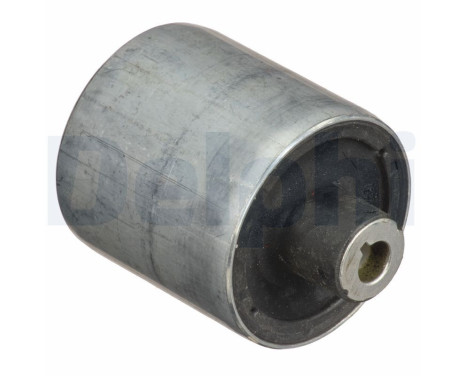 Control Arm-/Trailing Arm Bush TD1759W Delphi