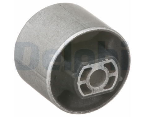 Control Arm-/Trailing Arm Bush TD1785W Delphi
