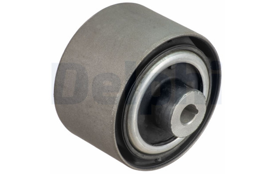 Control Arm-/Trailing Arm Bush TD1808W Delphi