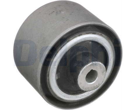 Control Arm-/Trailing Arm Bush TD1808W Delphi