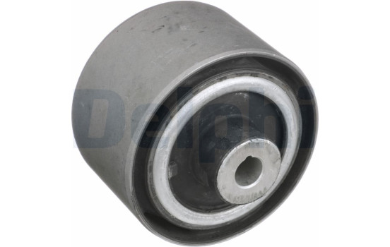 Control Arm-/Trailing Arm Bush TD1808W Delphi