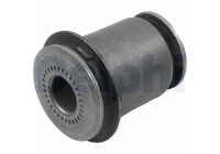 Control Arm-/Trailing Arm Bush TD1810W Delphi