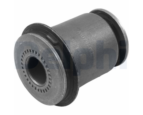 Control Arm-/Trailing Arm Bush TD1810W Delphi