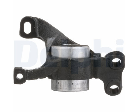 Control Arm-/Trailing Arm Bush TD1828W Delphi, Image 3