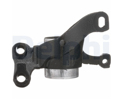 Control Arm-/Trailing Arm Bush TD1828W Delphi, Image 5