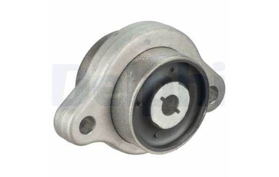 Control Arm-/Trailing Arm Bush TD1833W Delphi