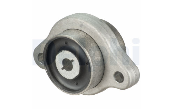 Control Arm-/Trailing Arm Bush TD1834W Delphi