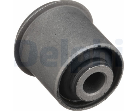 Control Arm-/Trailing Arm Bush TD1863W Delphi