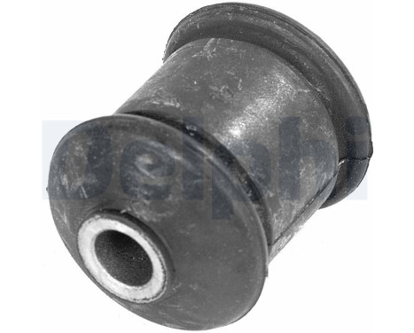 Control Arm-/Trailing Arm Bush TD232W Delphi