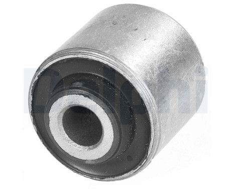 Control Arm-/Trailing Arm Bush TD246W Delphi