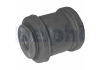 Control Arm-/Trailing Arm Bush TD247W Delphi