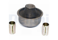 Control Arm-/Trailing Arm Bush TD249W Delphi