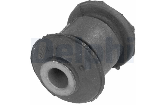 Control Arm-/Trailing Arm Bush TD251W Delphi