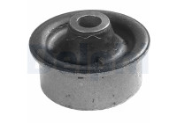 Control Arm-/Trailing Arm Bush TD254W Delphi