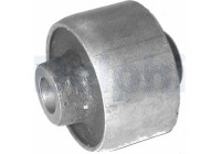 Control Arm-/Trailing Arm Bush TD260W Delphi