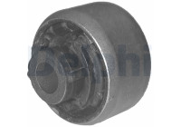 Control Arm-/Trailing Arm Bush TD261W Delphi