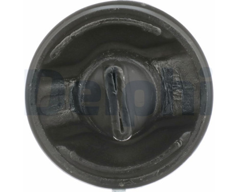 Control Arm-/Trailing Arm Bush TD263W Delphi, Image 6